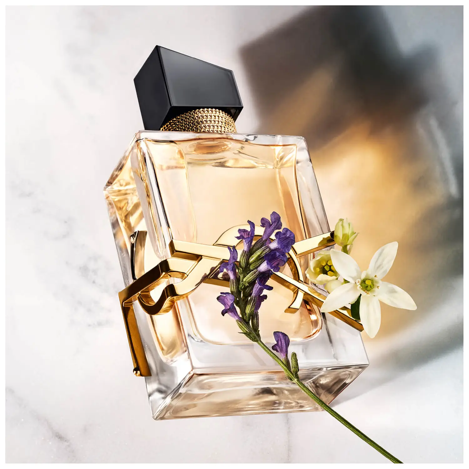 Libre Eau de Parfum from Yves Saint Laurent 