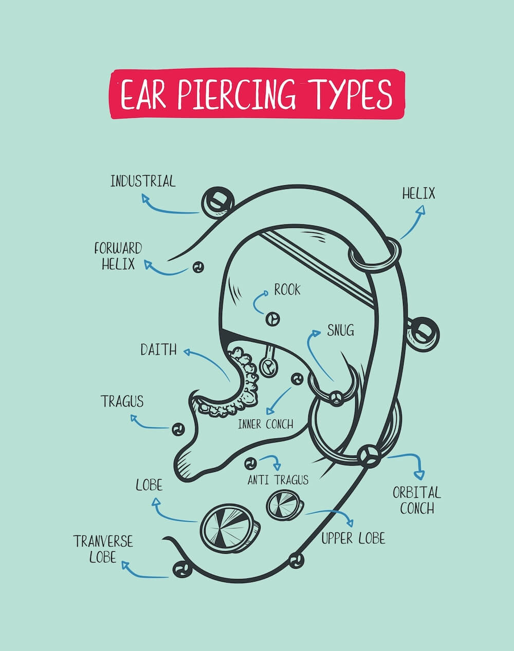 Ear piercing types diagram